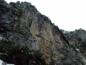 Wallcreeper Site in Hermida Gorge