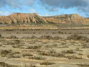 Lark Habitat: Las Bardenas Reales