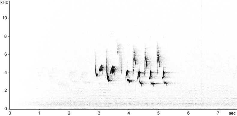Sonogram of Pied Flycatcher song