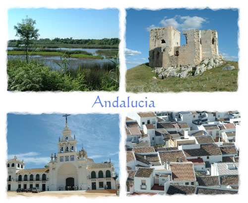 � 2006 Fraser Simpson