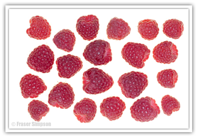 Perthshire Raspberries � 2010 Fraser Simpson