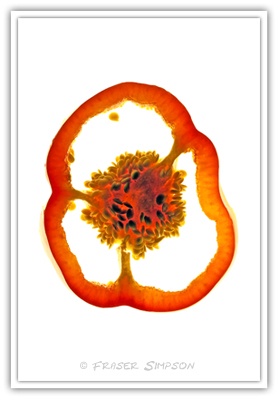 Red Pepper Slice � 2010 Fraser Simpson