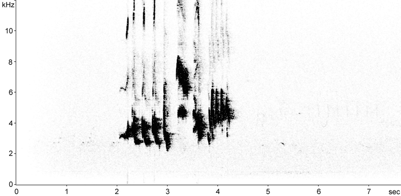 Sonogram of Redstart song
