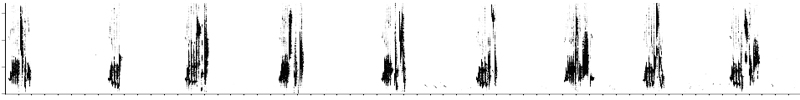 Redstart song rate per minute - Wescoe, Cumbria, England, 11 June 2026