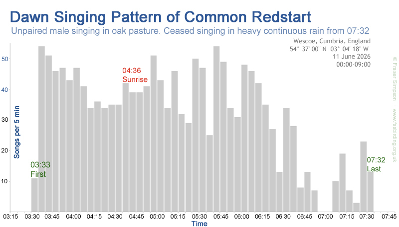 Dawn singing pattern of Common Redstart � Fraser Simpson 
