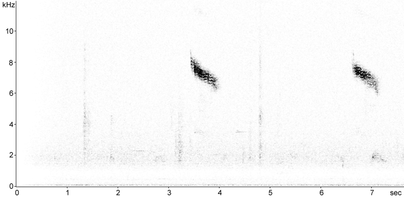Sonogram of Redwing (Turdus iliacus) flight call