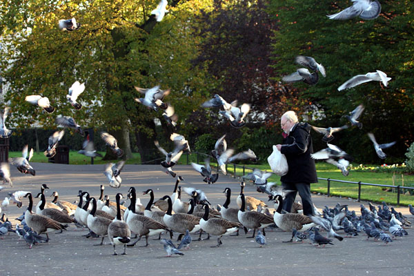 Regent's Park 2005 Fraser Simpson