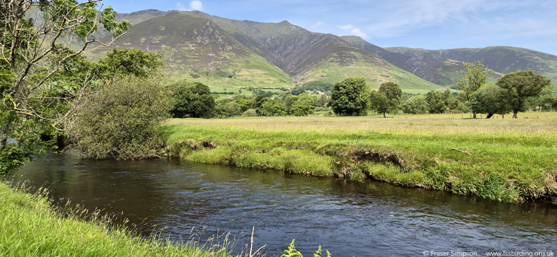 River Glenderamackin � Fraser Simpson 2025