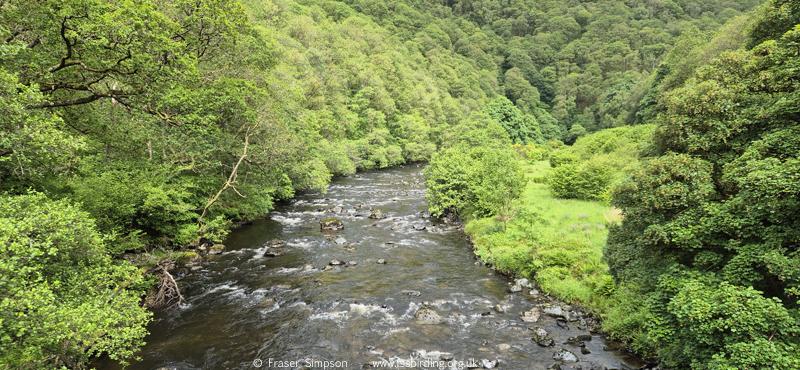 River Greta � Fraser Simpson 2026