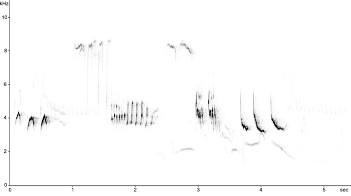 Sonogram of European Robin song