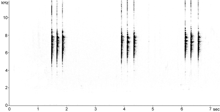 Sonogram of Euorpean Robin calls