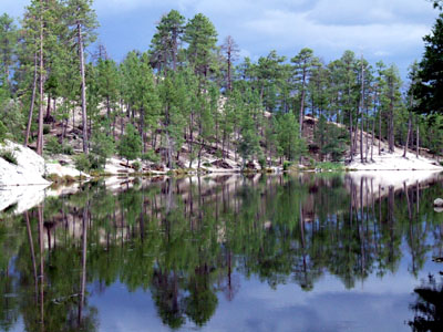 Rose Canyon Lake � 2006, Fraser Simpson