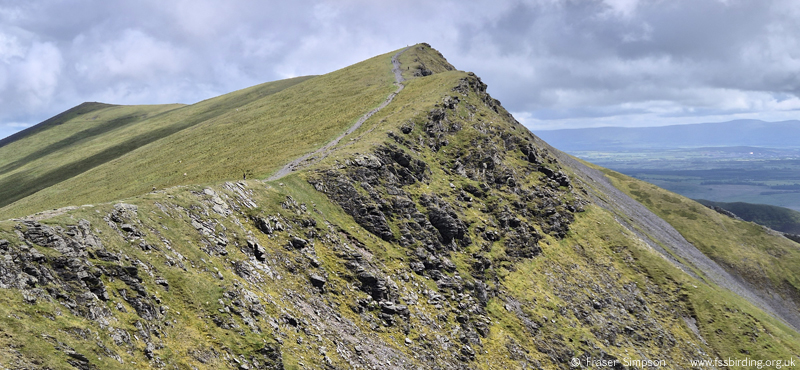Saddleback/Blencathra Hill � Fraser Simpson 2026
