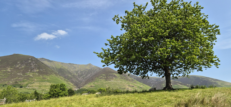 View of Saddleback from south of Threlkeld � Fraser Simpson 2025