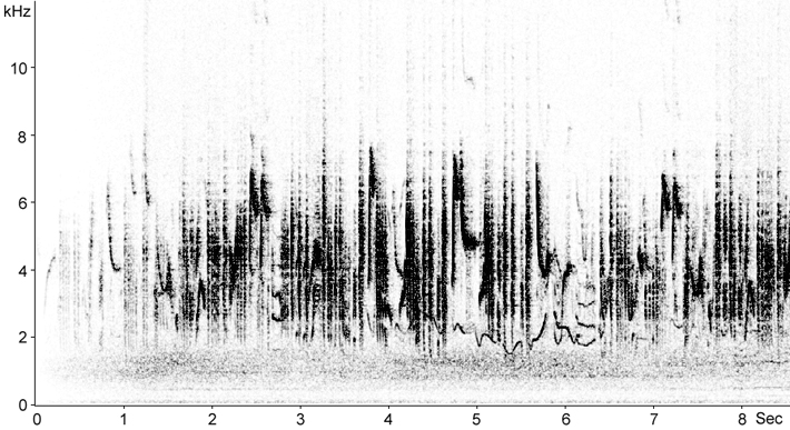 Sonogram of Sardinian Warbler song