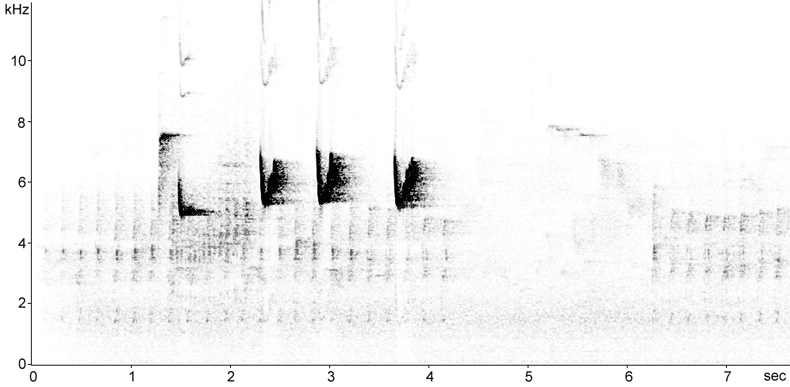 Sonogram of Short-toed Treecreeper calls