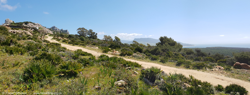 Track from lighthouse up to Sierra de la Plata � Fraser Simpson