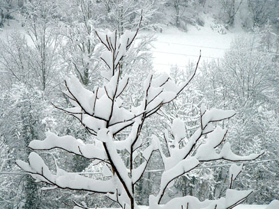 Snow at Cosgaya, Asturias, Spain � 04 March 2005 � 2005 Fraser Simpson