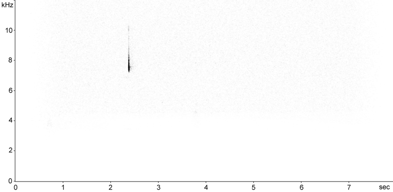 Sonogram of Song Thrush (Turdus philomelus) flight call
