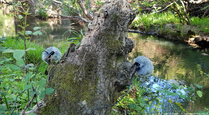 Sound recording with Clippy Stereo EM172 microphone, Arroyo del Tiradero,  Valle de Oj�n � Fraser Simpson