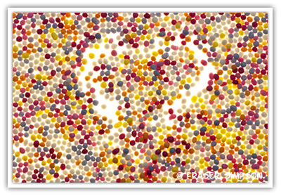 Sprinkles � 2010 Fraser Simpson
