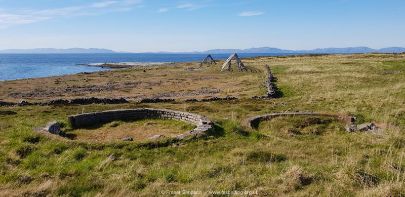 Store Ekker�y � Fraser Simpson