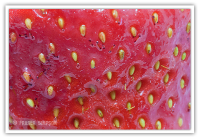Stawberry � 2010 Fraser Simpson
