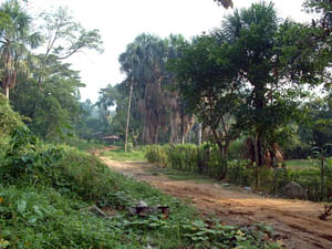 Track from El Mirador & Start of Rio Shilcayo Trail