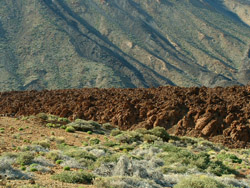 Parque Nacional del Teide