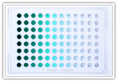 Titration � 2010 Fraser Simpson