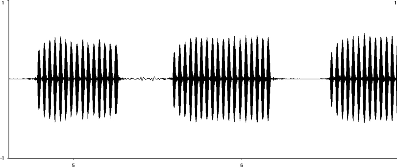 Oscillogram of European Tree-cricket (Oecanthus pellucens) stridulation [treecricket112899ecut]