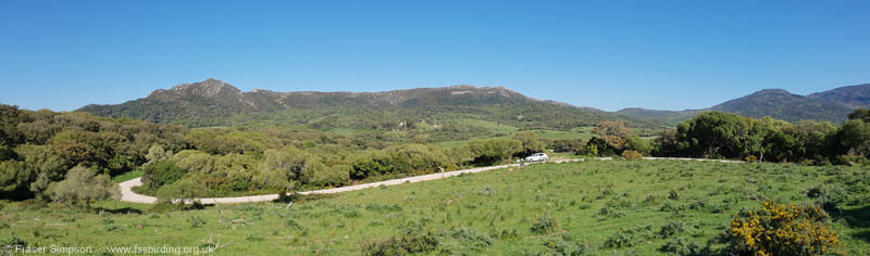 Valle de Oj�n, Parque Natural de los Alcornocales � Fraser Simpson