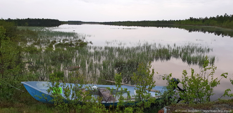 Midnight at lake south of V�yl�, Inarij�rvi � Fraser Simpson