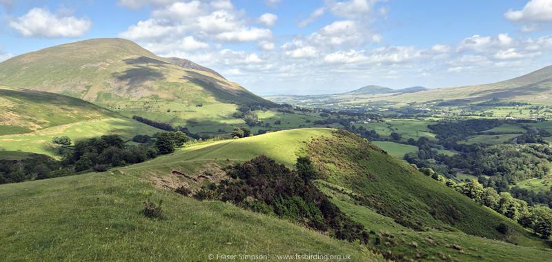View of Blencathra from the east � Fraser Simpson 