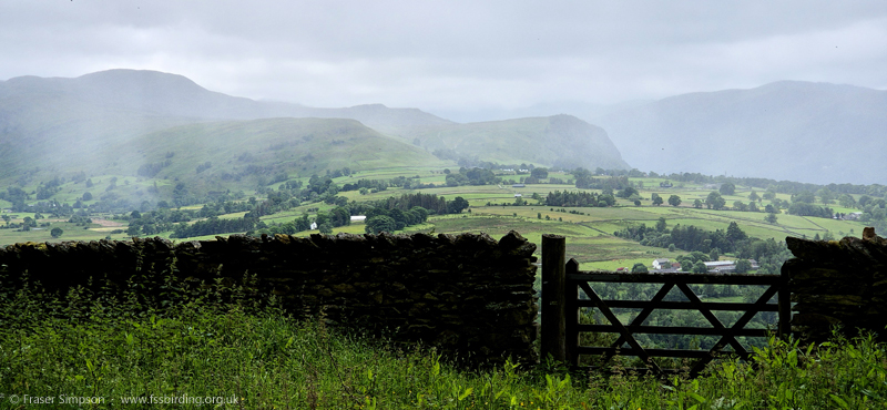 Overgrown pond at Blencathra Field Centre � Fraser Simpson 
