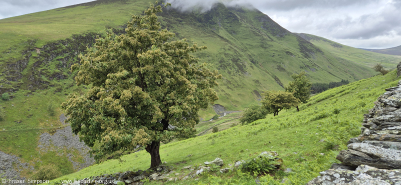 View of Lonscale Fell � Fraser Simpson 2026
