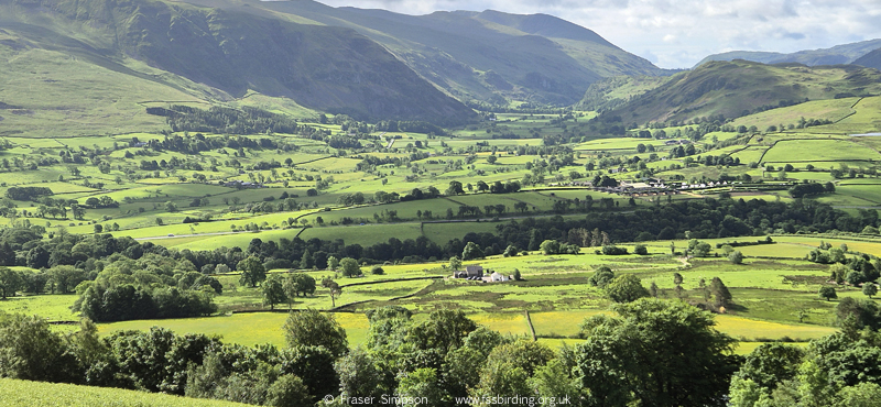 View south from Blease Fell � Fraser Simpson 2026