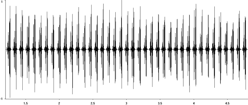 Oscillogram of Common Wart-biter stridulation