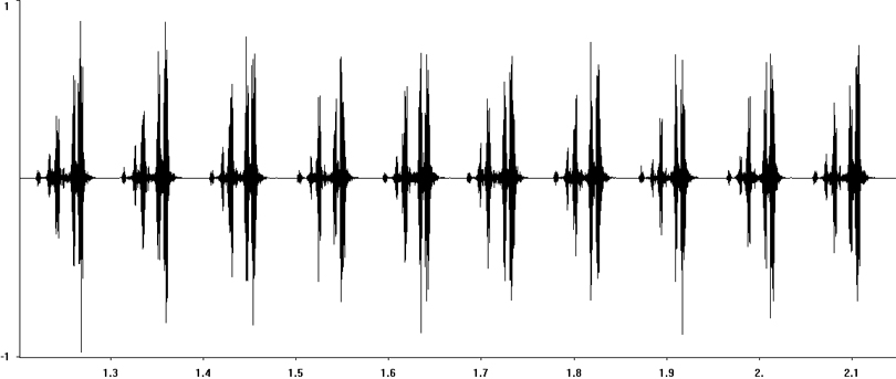 Oscillogram of Common Wart-biter stridulation