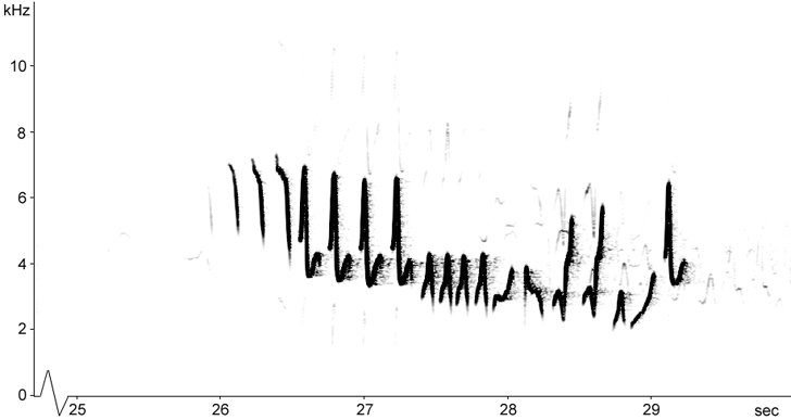 Sonogram of Willow Warbler song