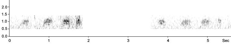 Sonogram of Woodcock flight vocalisations