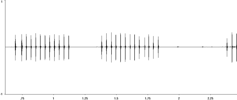 Oscillogram of Wood Cricket stridulation