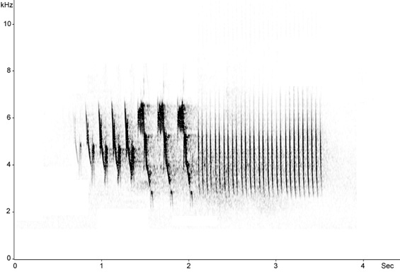 Sonogram of Woodlark song