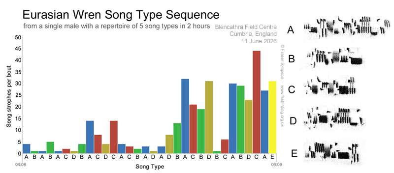 Eurasian Wren Song Types & Sequence � Fraser Simpson 
