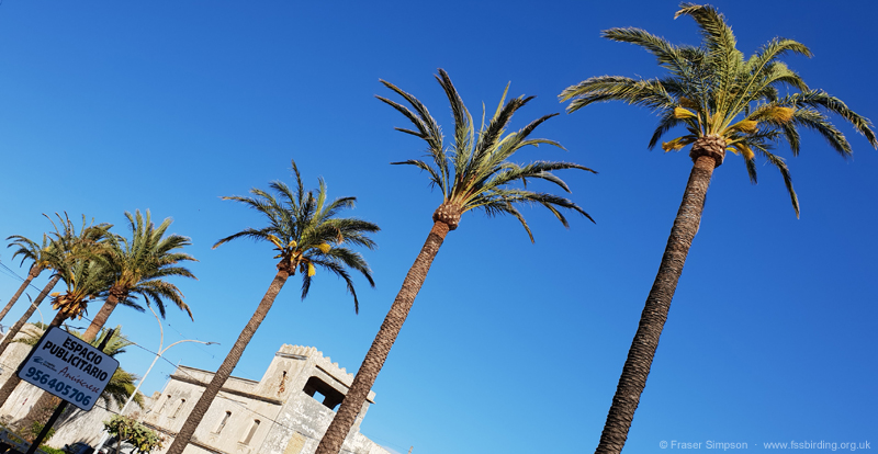 Zahara de los Atunes � Fraser Simpson
